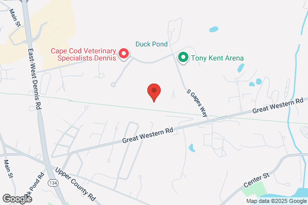 Patricias of Cape Cod