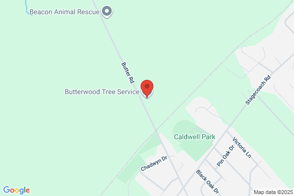 Butterwood Tree Service, LLC