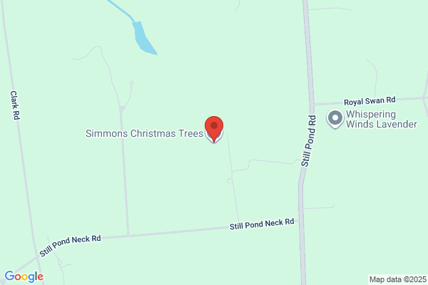 Simmons Tree Farm