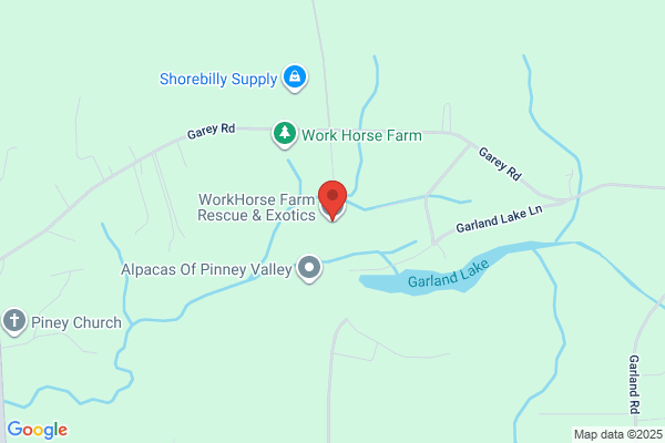 Far Away Farm Llc