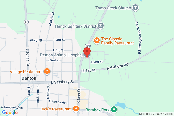 Denton Animal Clinic