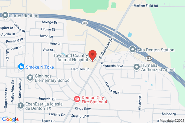 Town & Country Animal Hospital