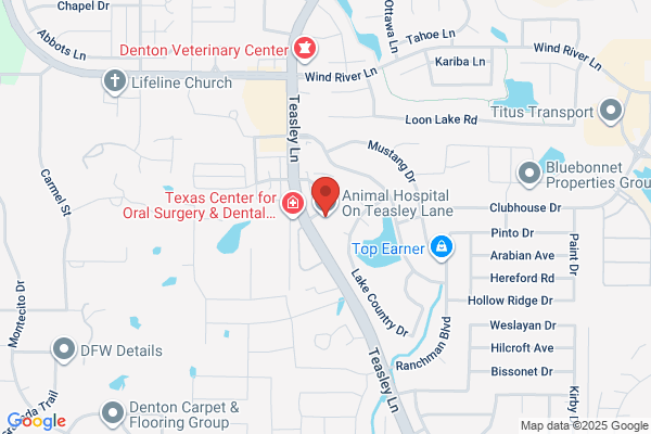 Animal Hospital on Teasley Lane