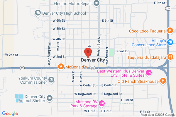 Denver City Museum