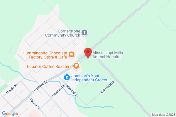 Mississippi Animal Hospital
