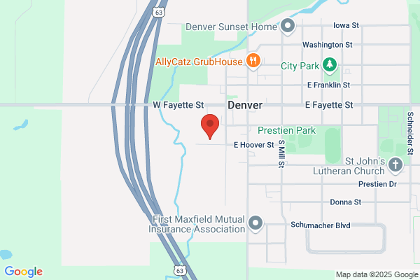 Denver Electric