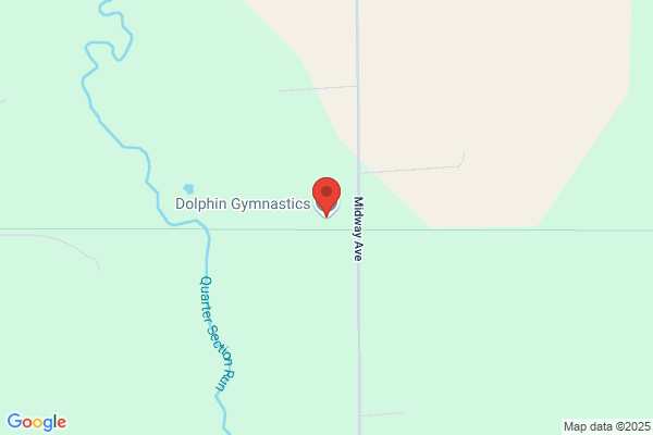 Dolphin Gymnastics LLC