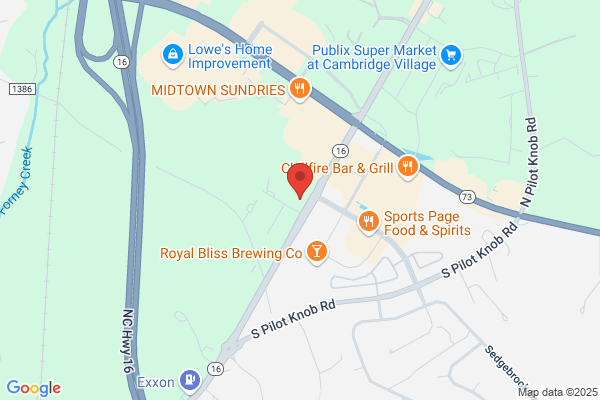 Advance Auto Parts