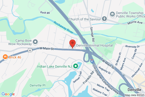 Denville Animal Hospital