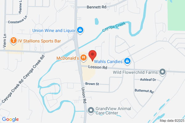 Niagara Frontier Heart Associates