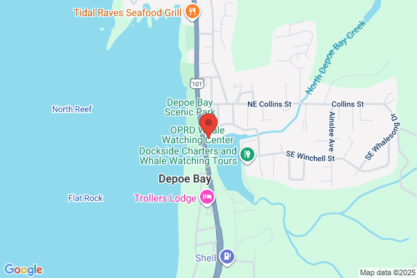 Tradewinds Charters - Whale Watching & Fishing – Oregon