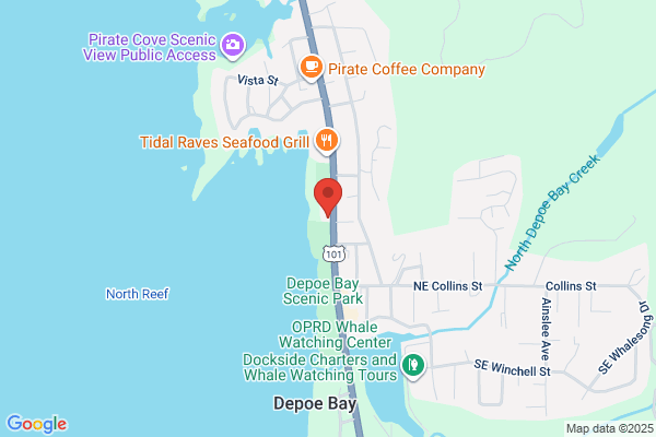 Ocean Paradise Whales Rendezvous