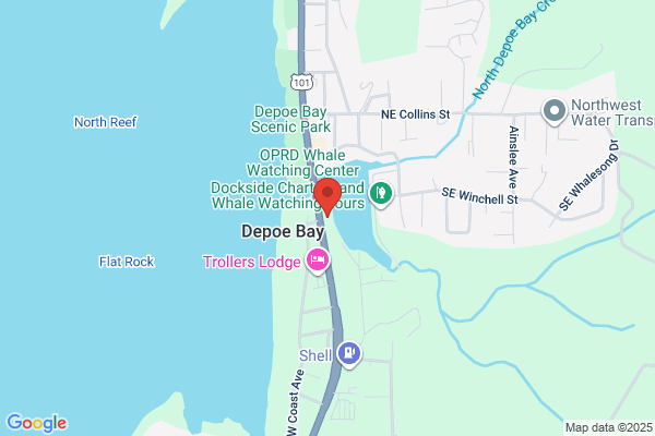 Zodiac Tours of Depoe Bay