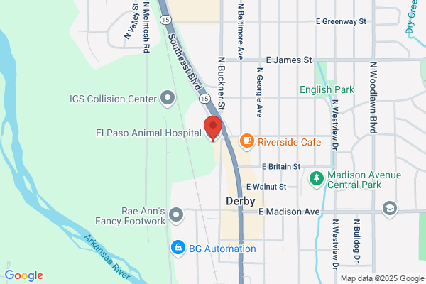 El Paso Animal Hospital