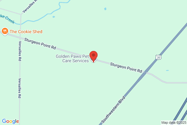 Golden Paws Pet Care Services, LLC (Pet Hotel & Daycare)