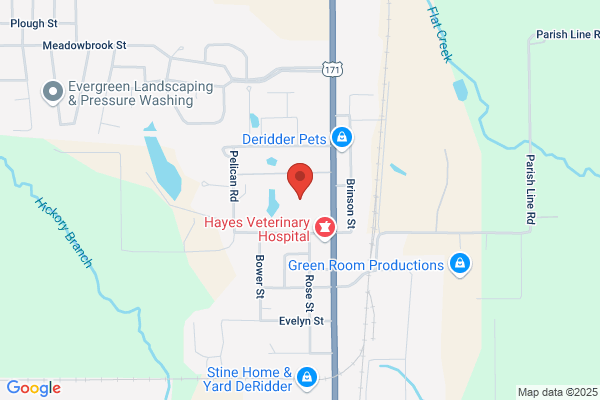 Americas Best Value Inn DeRidder