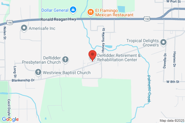 Deridder Alcohol & Drug Abuse Clinic