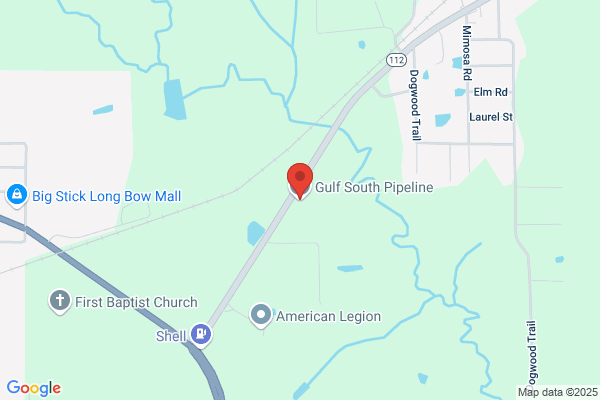 Gulf South Pipeline Co