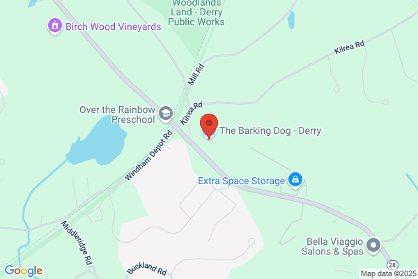 The Barking Dog – Derry