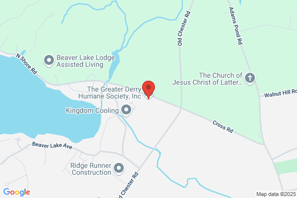Greater Derry Humane Society