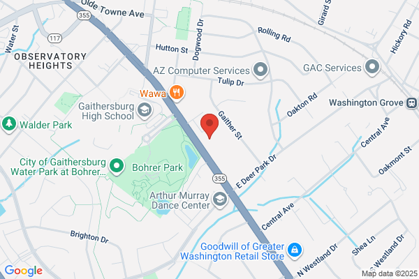 TREE SERVICE MARYLAND