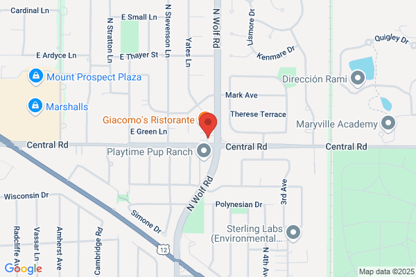 Wolf and Central Auto Repair