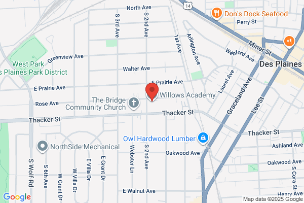 Willows Academy the