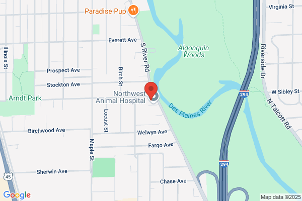 Des Plaines Auto Works