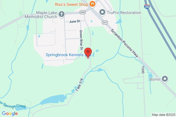 Springbrook Kennels