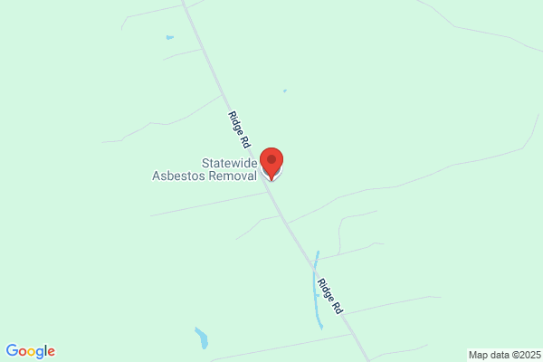 Statewide Asbestos Removal