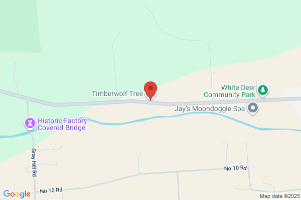Timberwolf Tree Company