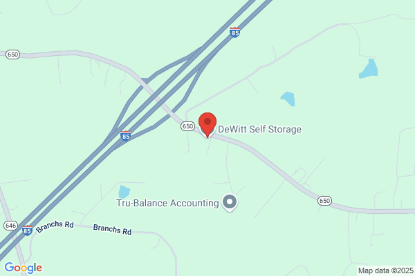 DeWitt Self Storage