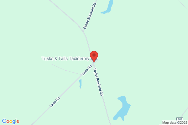 Tusks & Tails Taxidermy