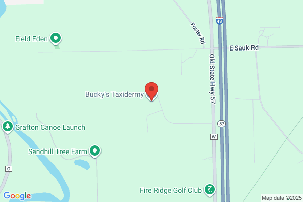 Buckies Taxidermy