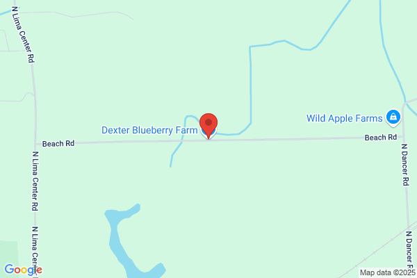 Dexter Blueberry Farm
