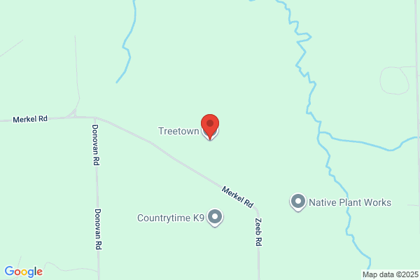 Treetown Inc