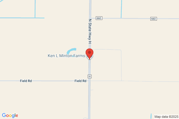 Minton Ken L Farms