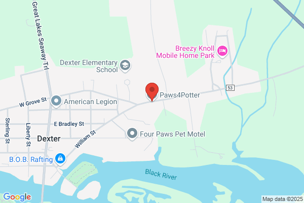 Animal Charities of Northern Ny