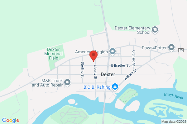 Dexter Village Police