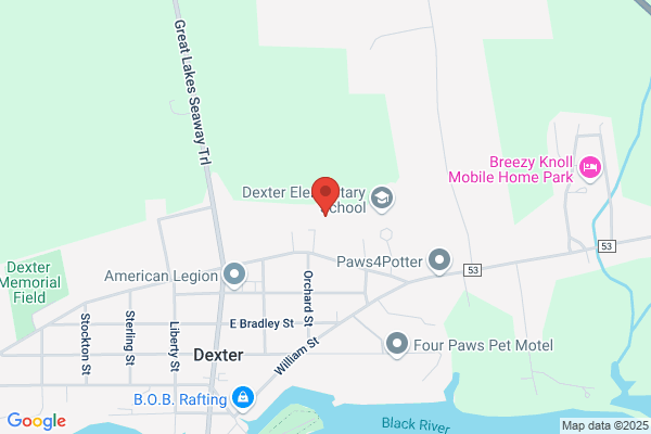 Doctor's Landscaping & Greenhouse