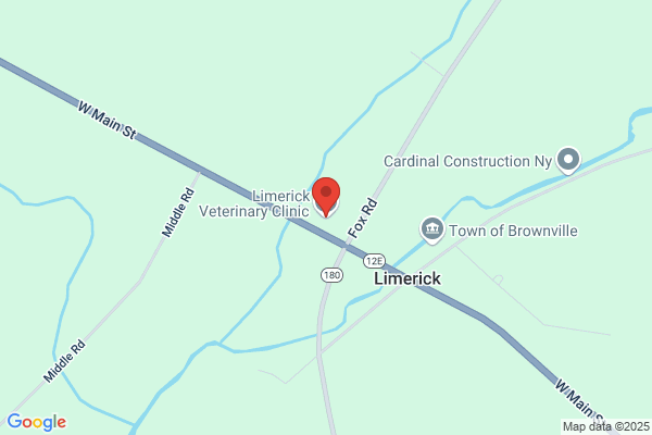Limerick Veterinary Clinic