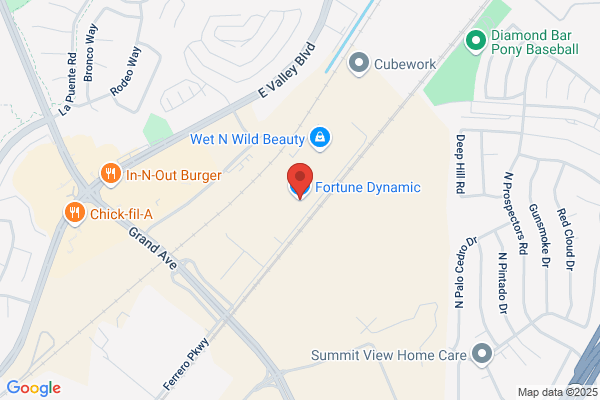 Fortune Dynamic Inc