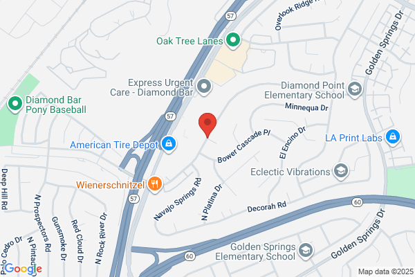 Diamond Bar Tree Service