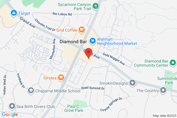 Diamond Palace Cuisine of India