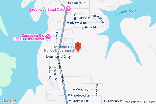 Diamond City Library