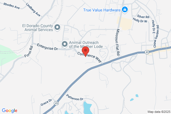 Placerville Preschoolers-Kids'