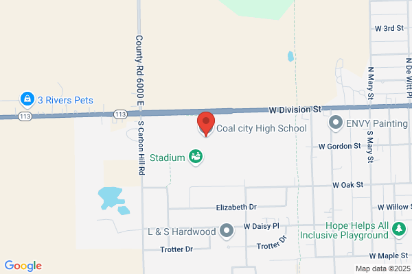 Coal City, Coal City High School
