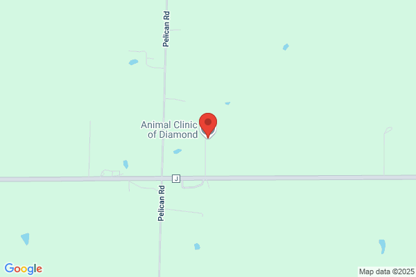 Animal Clinic of Diamond, LLC