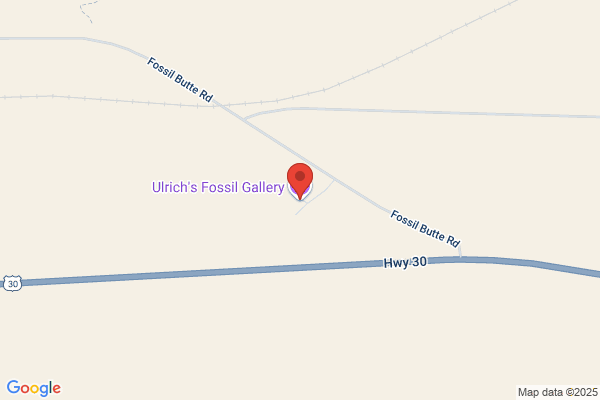 Ulrich's Fossil Gallery