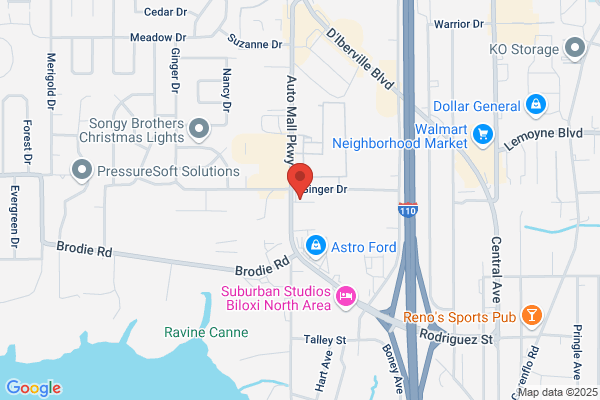 American Martial Art Academy - BJJ, Judo, & Self Defense
